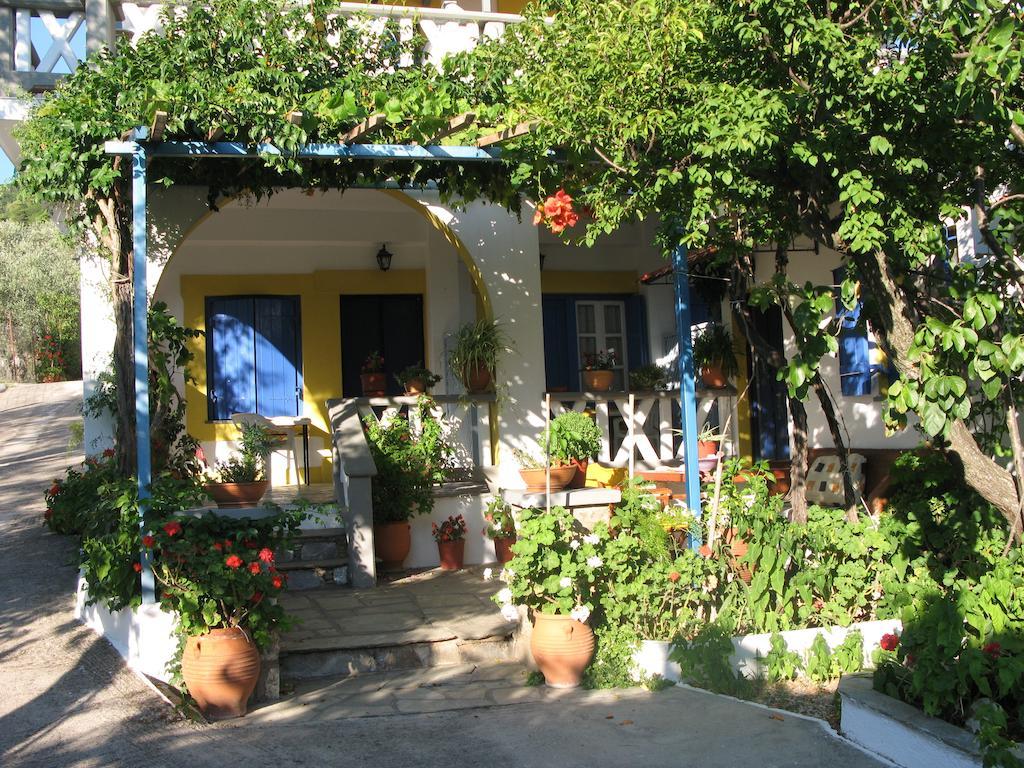 Apartment Alexandra Sofia *